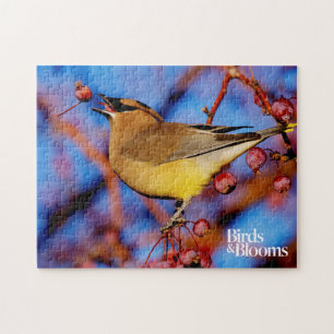 Cedar Waxing Legpuzzel