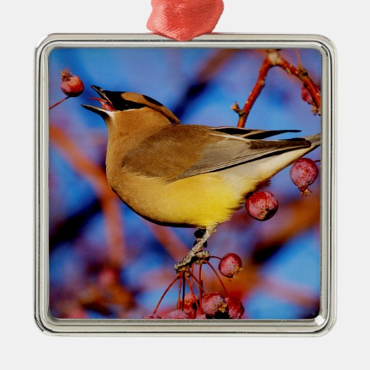 Cedar Waxing Metalen Ornament (Voorkant)