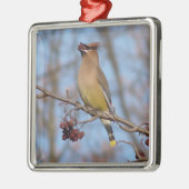 Cedar Waxing Metalen Ornament (Links)