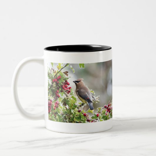 Cedar Waxing mok (Links)