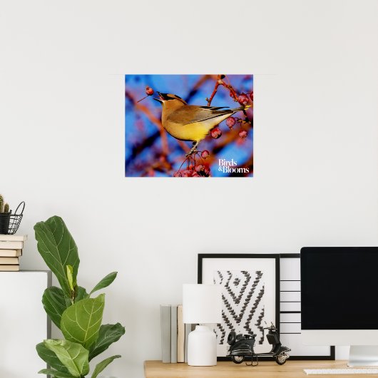 Cedar Waxing Poster (Thuiskantoor)