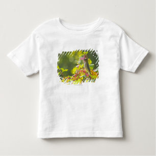Cedar Waxwing and Poke Berries on a Tree Kinder Shirts