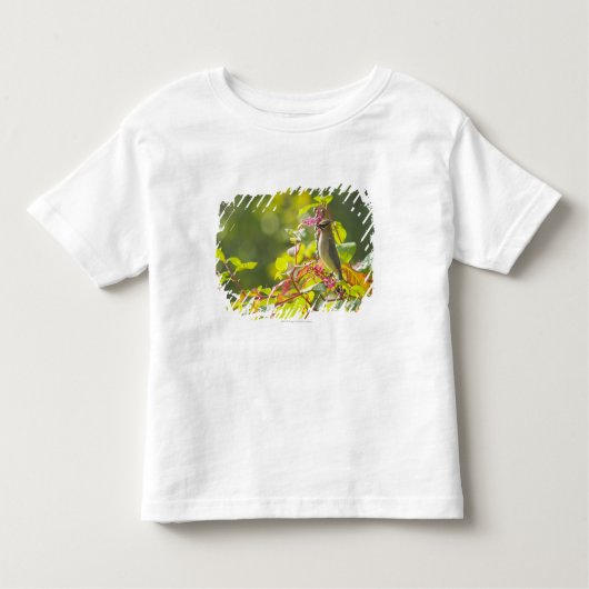 Cedar Waxwing and Poke Berries on a Tree Kinder Shirts (Voorkant)