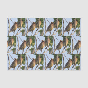 Cedar Waxwing - Backyard Bird Tissue Paper Tissuepapier