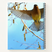 Cedar Waxwing Bird Notitieboek (Achterkant)