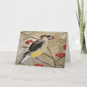 Cedar Waxwing eet bessen Wenskaart Kaart