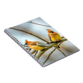 Cedar Waxwing - Originele foto Notitieboek (Rechterzijde)