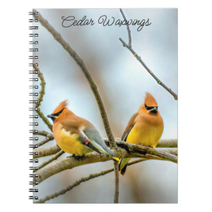 Cedar Waxwing - Originele foto Notitieboek
