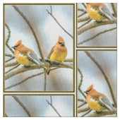 Cedar Waxwing - Originele foto Stof (Close Up)