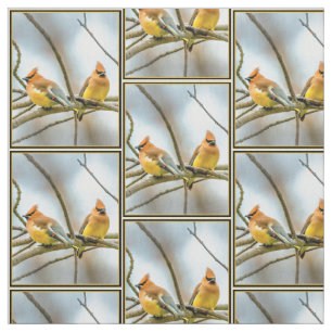 Cedar Waxwing - Originele foto Stof