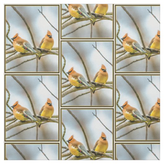 Cedar Waxwing - Originele foto Stof (Swatch)