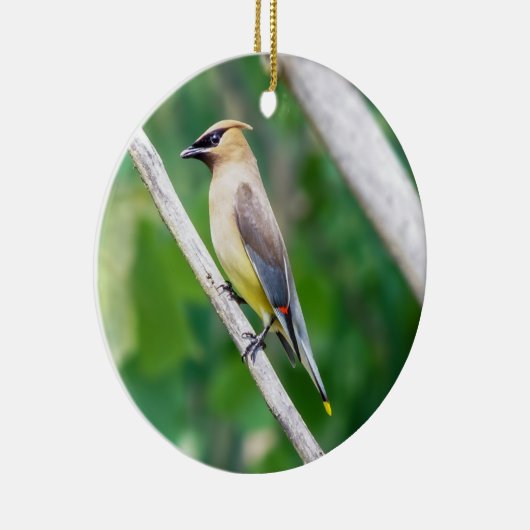 Cedar Waxwing Ornament (Rechts)