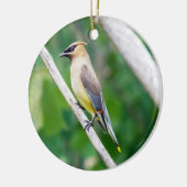 Cedar Waxwing Ornament (Links)