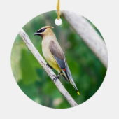 Cedar Waxwing Ornament (Achterkant)