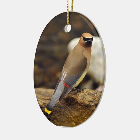 Cedar Waxwing Ornament (Links)