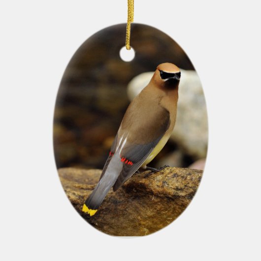 Cedar Waxwing Ornament (Voorkant)