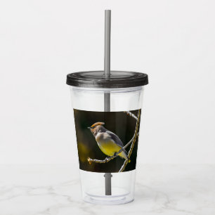Cedar Waxwing zangvogel origineel wilde vogel foto Acryl Drinkbeker