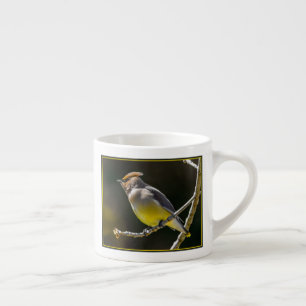 Cedar Waxwing zangvogel origineel wilde vogel foto Espresso Kop