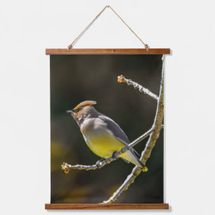 Cedar Waxwing zangvogel origineel wilde vogel foto Hangend Wandkleed