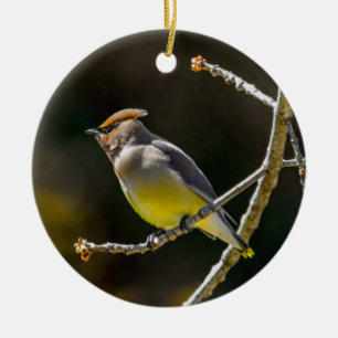 Cedar Waxwing zangvogel origineel wilde vogel foto Keramisch Ornament