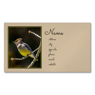 Cedar Waxwing zangvogel origineel wilde vogel foto Magnetisch Visitekaartje