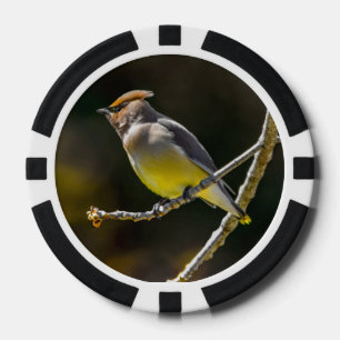 Cedar Waxwing zangvogel origineel wilde vogel foto Poker Chips