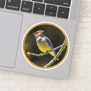 Cedar Waxwing zangvogel origineel wilde vogel foto Sticker