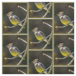 Cedar Waxwing zangvogel origineel wilde vogel foto Stof