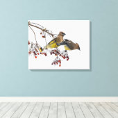 Cedar Waxwings Canvas Afdruk (Insitu (Houten vloer))