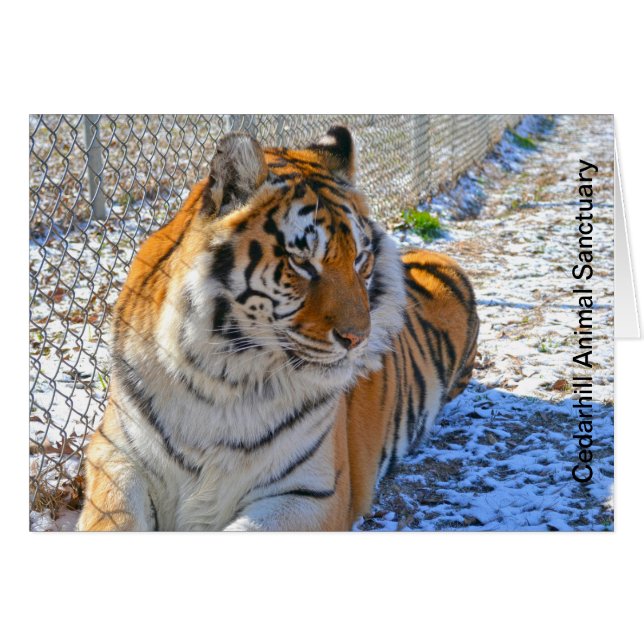 Cedarhill Animal Sanctuary Card (Voorkant Horizontaal)