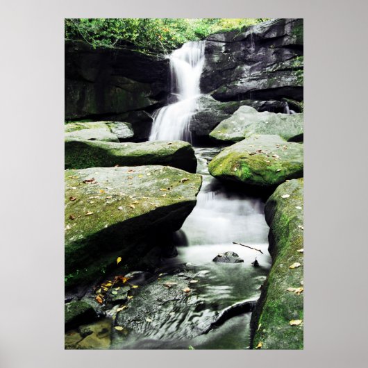 CedarRockFalls_100_026 Poster (Voorkant)