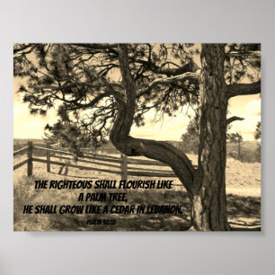 Cedars of Libanon Bijbel Verse Psalm 91:12 Briefka Poster