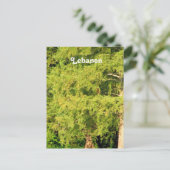 Cedars van Libanon Briefkaart (Staand voorkant)