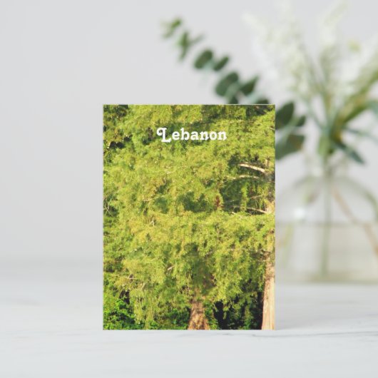 Cedars van Libanon Briefkaart (Staand voorkant)