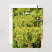 Cedars van Libanon Briefkaart (Voorkant / Achterkant)