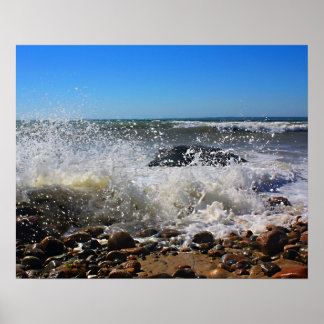 CedarTreeNeck16x20 Poster