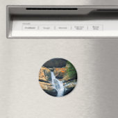 Ceder Herfsten, Hocking Hills Ohio Magneet (Insitu (Vaatwasser))