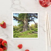 Cèdre du Liban, serviettes en papier d'arbre (En situation)