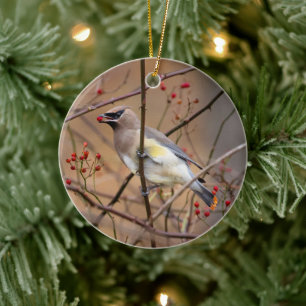 Cèdre Ornement de Noël