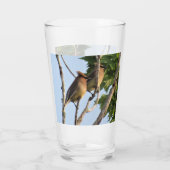 Cèdre - Série Jardin Oiseaux - Verre (Dos)