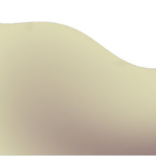 cel iPhone 11 pro max hoesje