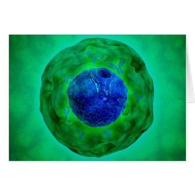 Cel-nucleus met chromosoom 1 (Voorkant Horizontaal)
