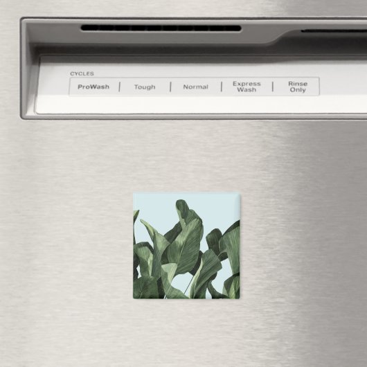 Celadon Palms Magneet (Insitu (Vaatwasser))