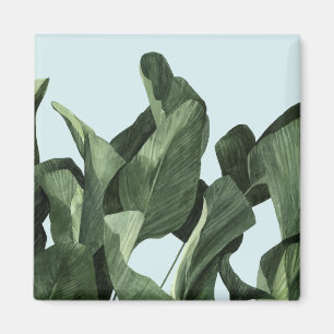 Celadon Palms Magneet