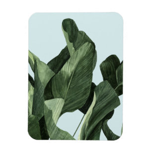 Celadon Palms Magneet