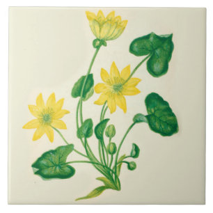 Celandine de carreau de céramique de cuisine de