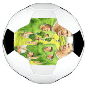 Celebrating Irish Football Voetbal (Gedraaid)