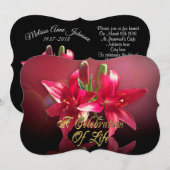 Célébration de la vie Invitation Lily asiatique (Devant / Derrière)