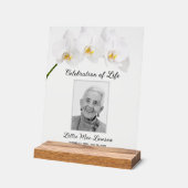 Célébration des orchidées de vie (Angle)