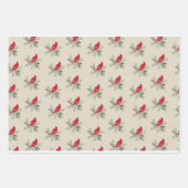 Célébration du cardinal : Papier d'enveloppement d (Devant 2)